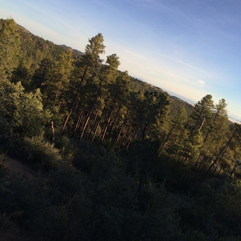 Apple Creek Cottages Prescott Exteriör bild